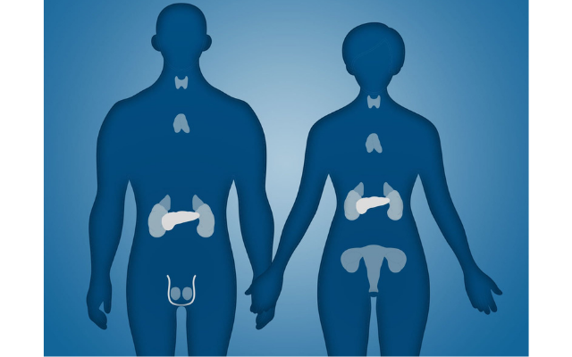 Hormonal Dengesizlik Belirtileri