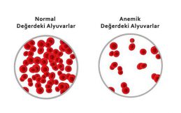 Kurban Bayramında Beslenme