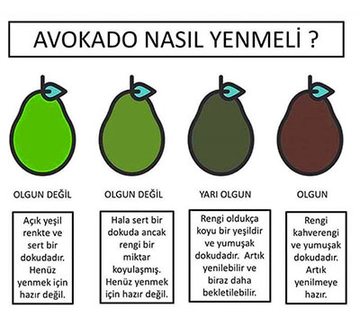 avokado nasıl yenmeli