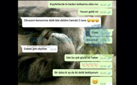 başarı hikayeleri