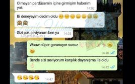 başarı hikayeleri