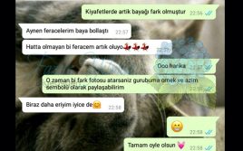 başarı hikayeleri