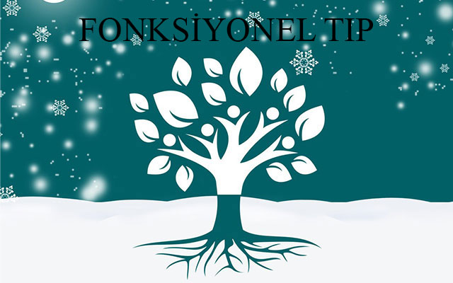 Fonksiyonel Tıp
