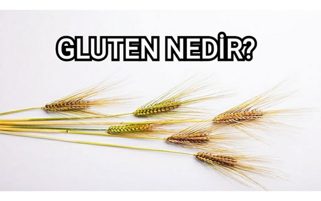 Gluten Nedir?