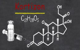 D Vitamininin Görevleri