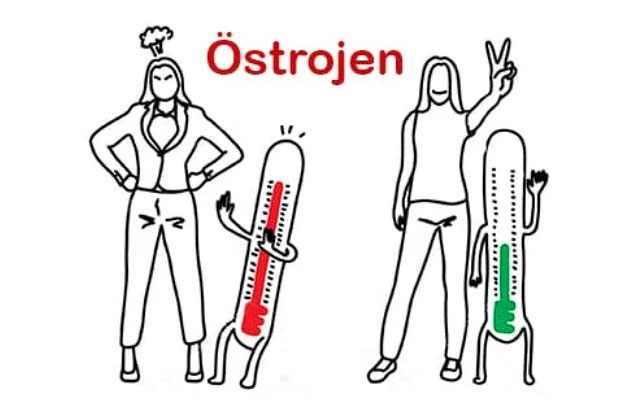 Östrojen Dominansı