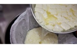 Ghee Yağı