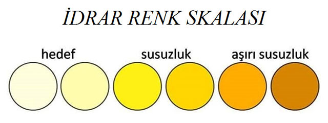 su içmenin yararları idrar skalası